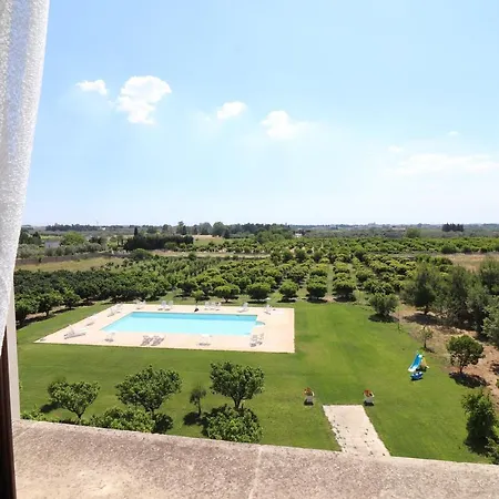 In Bb - Comfort Lime Double * Carmiano (Apulia)