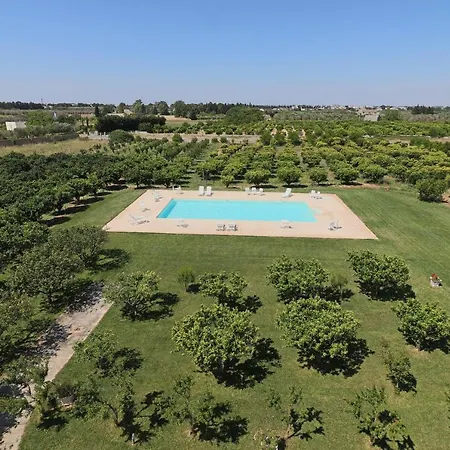 In Bb - Comfort Lime Double Carmiano (Apulia)