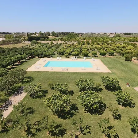 In Bb - Comfort Lime Double * Carmiano (Apulia)